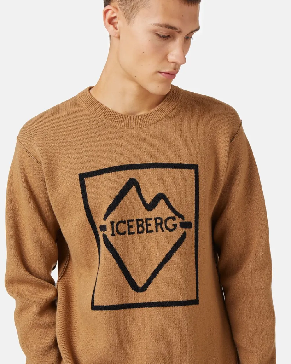 Iceberg Crew-neck Wool Blend Sweater
