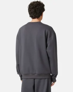 Iceberg Sweatshirt In Technical Fabric