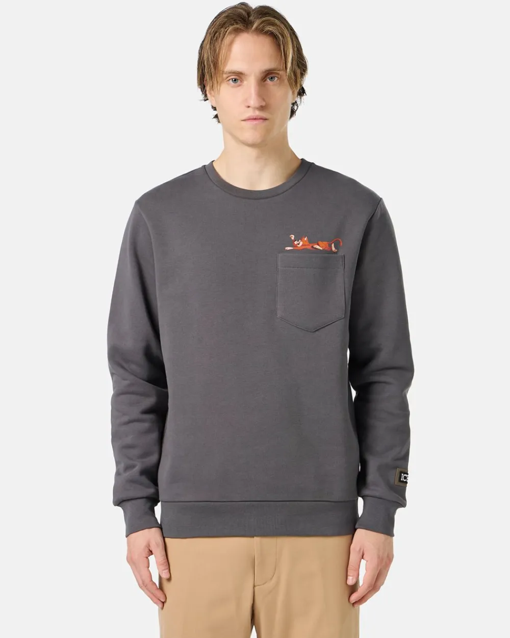 Iceberg Sweatshirt With Yogi Print