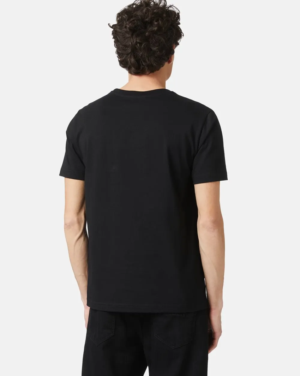 Iceberg T-shirt With Printed And Embroidered Bear